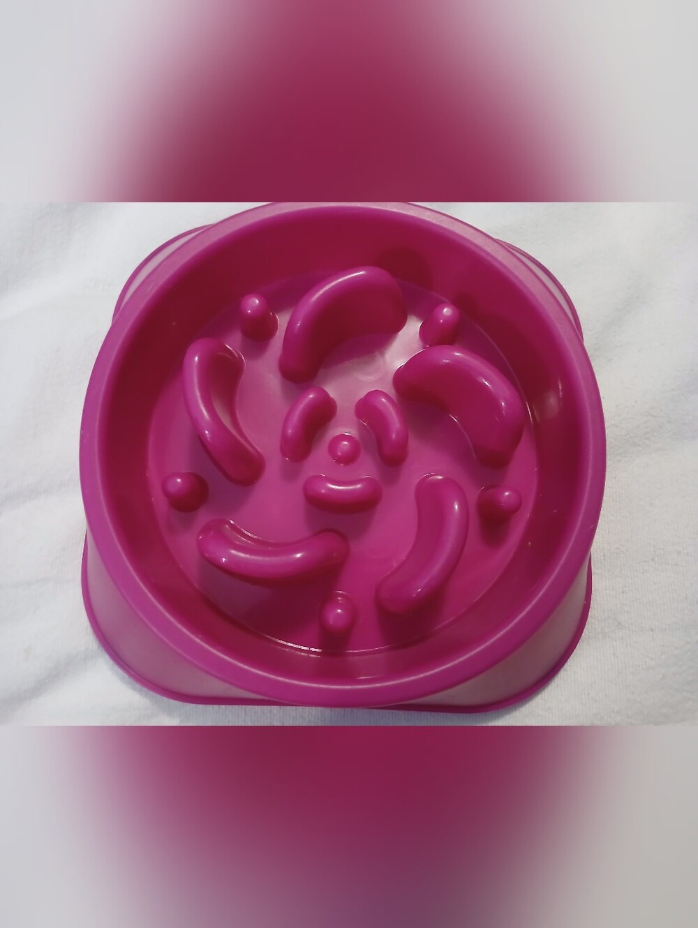 Slow-Feed Fushia Pet Bowl for Dogs.